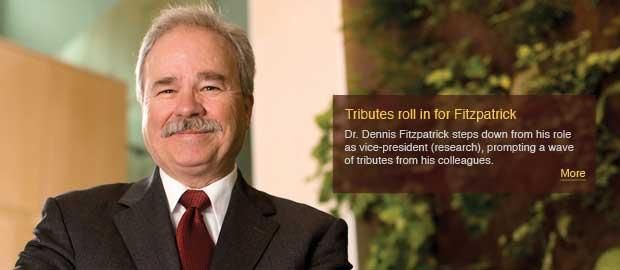 Fitzpatrick led transformation