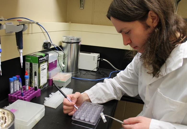Journey to academic success doesn't always follow same path
