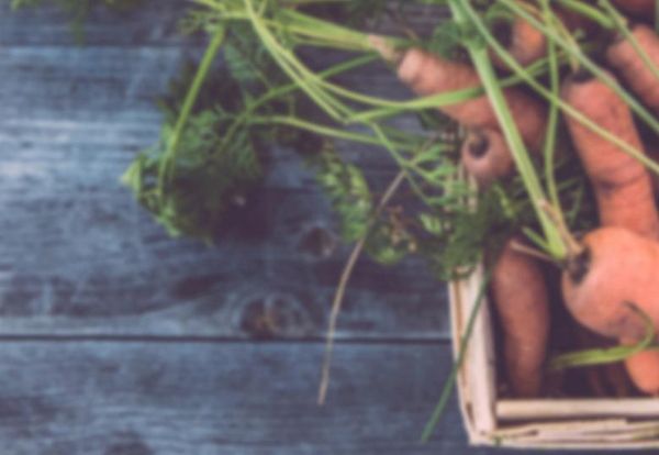 AGILITY Innovation Summit to feature agriculture industry leaders