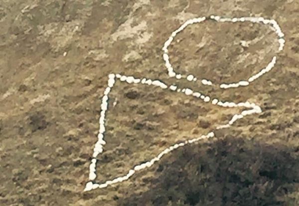 Community invited to help reconstruct vandalized art piece