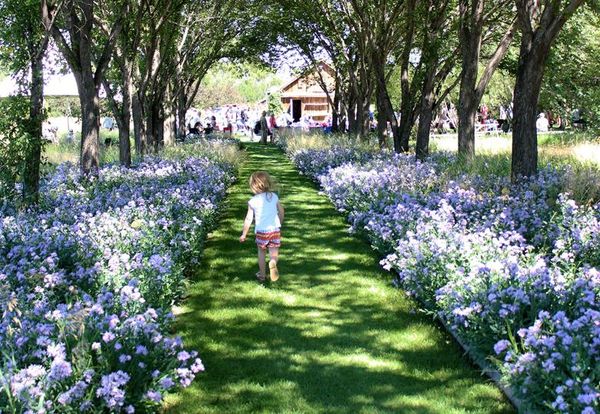 Arts Festival Takes Over Coutts Centre July 23