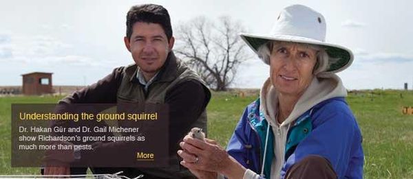 Understanding the ground squirrel