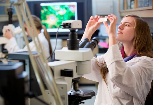 Young researcher summer program looks to expand through transition