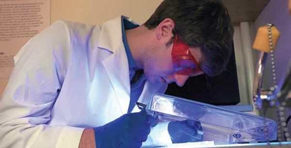 Wieden spurs iGEM to great success