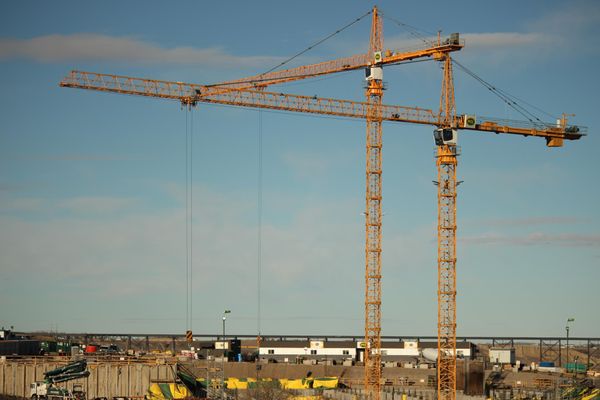 Little Yeller joins the Destination Project