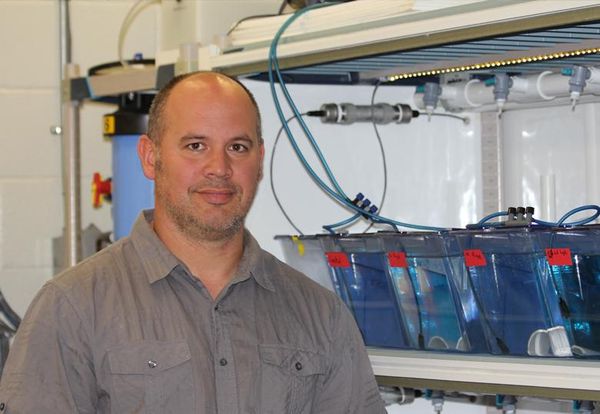 U of L aquatic toxicologist named Canada Research Chair