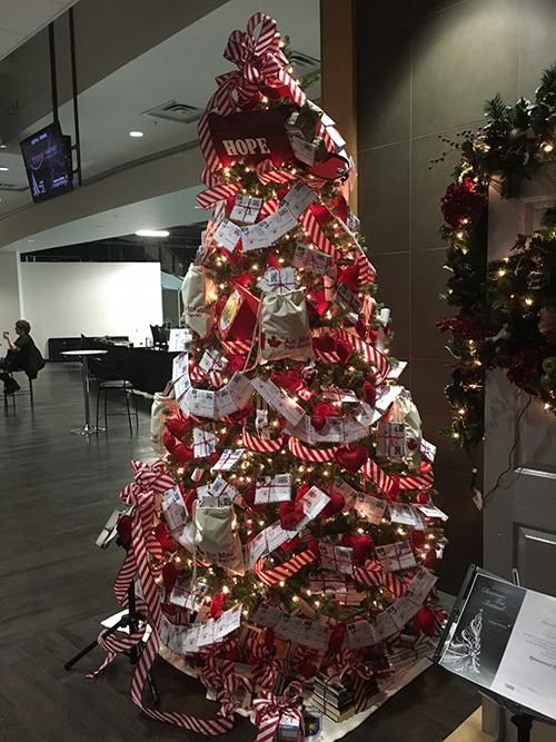 Bookstore Tree of Hope has special contribution from school children