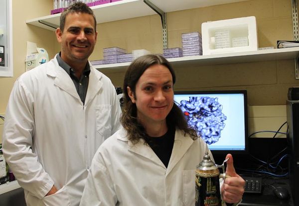 Beer and bread yeast-eating bacteria could open door to better health in both humans and livestock