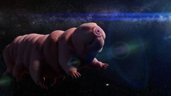 How deadly is Mars? Depends on the tardigrade