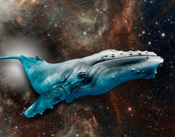 Into the void with the most alien Earthlings