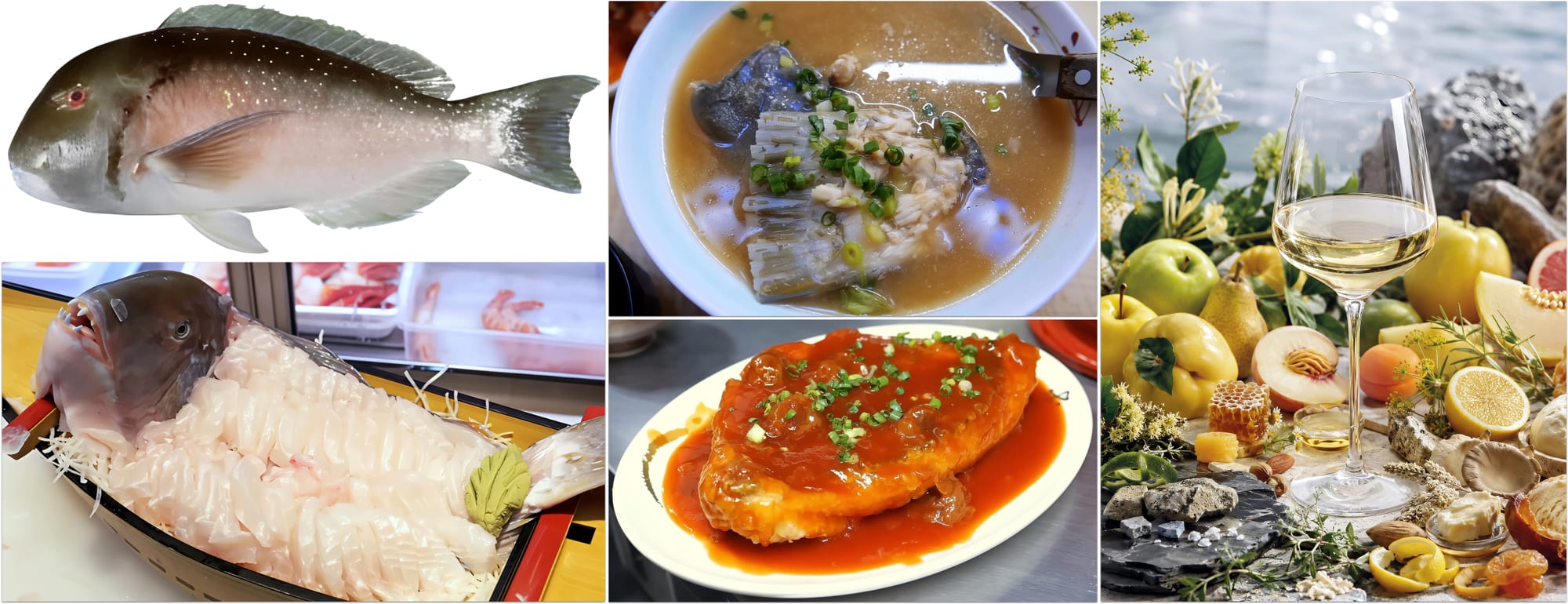 Venus Tuskfish: From Reef Alchemist to Culinary Treasure and the Stewardship Imperative
