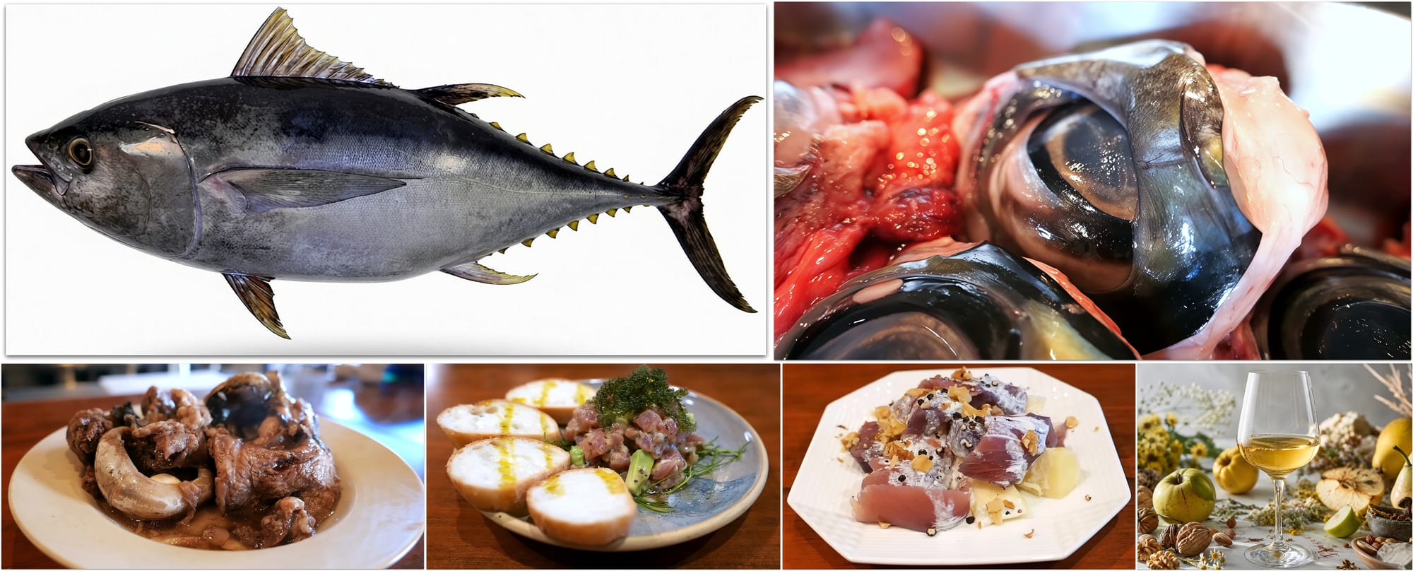 The Eye of the Deep: Biology, Cuisine, and the Overlooked Treasure of Bigeye Tuna