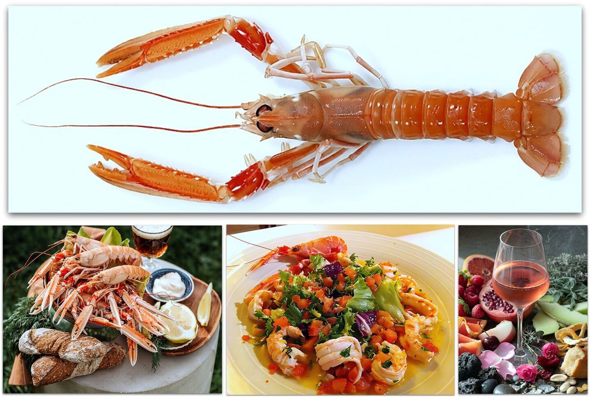 The Langoustine: Biology on the Plate and the Future of a Fiery Crustacean