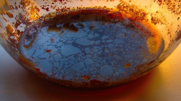 Scum, photo via Gene Selkov, Flickr