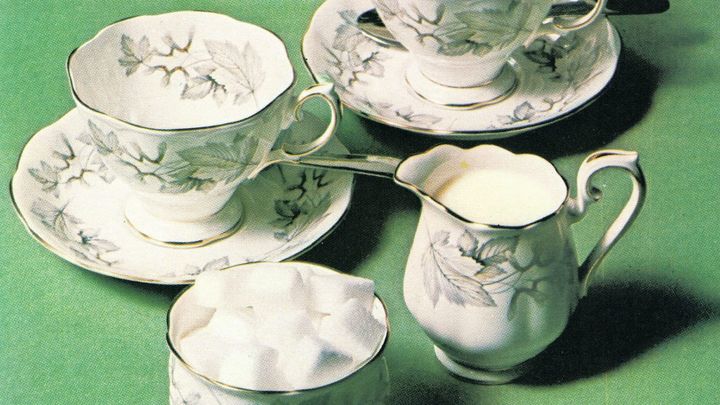 1973 Goblin Companion Tea Set Royal Albert Silver Maple 890