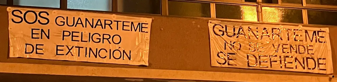 "Guanarteme is in danger of going extinct" / "Guanartement is not for sale"