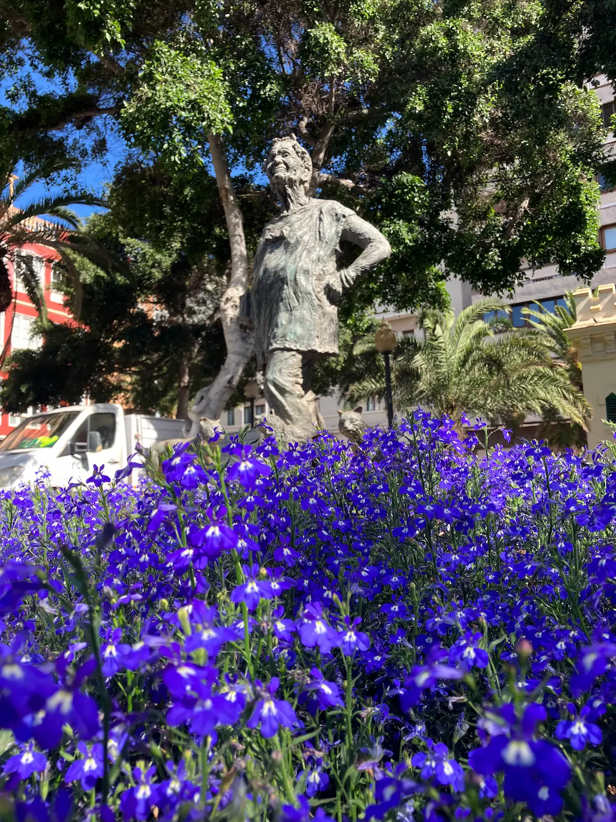 The Crazy Cat Lady. Lolita Pluma in Parque de Santa Catalina, Las Palmas de Gran Canaria