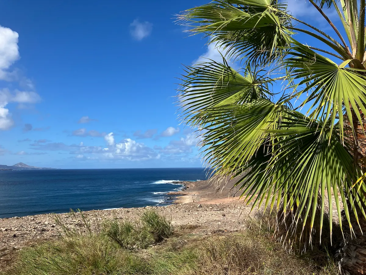 The Pulse of Las Palmas