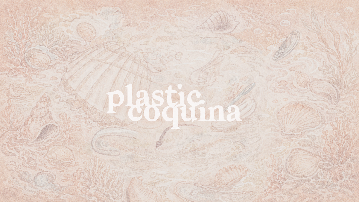 PLASTIC COQUINA - analisi