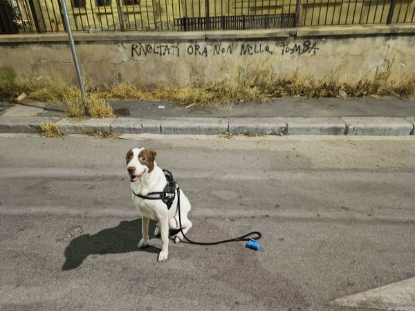 I nostri liquidi