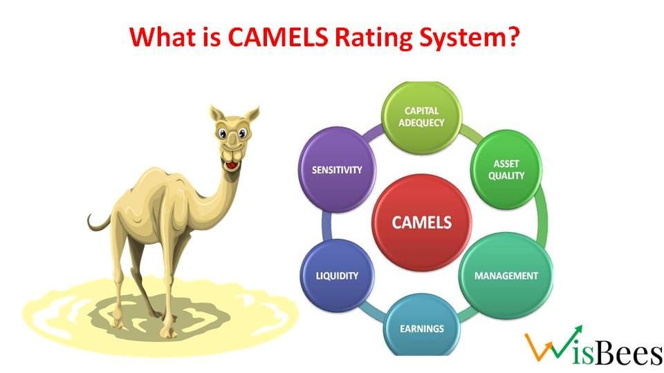 CAMELS Rating System