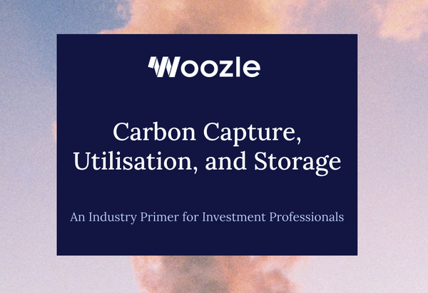An Industry Primer on Carbon Capture for Investment Professionals