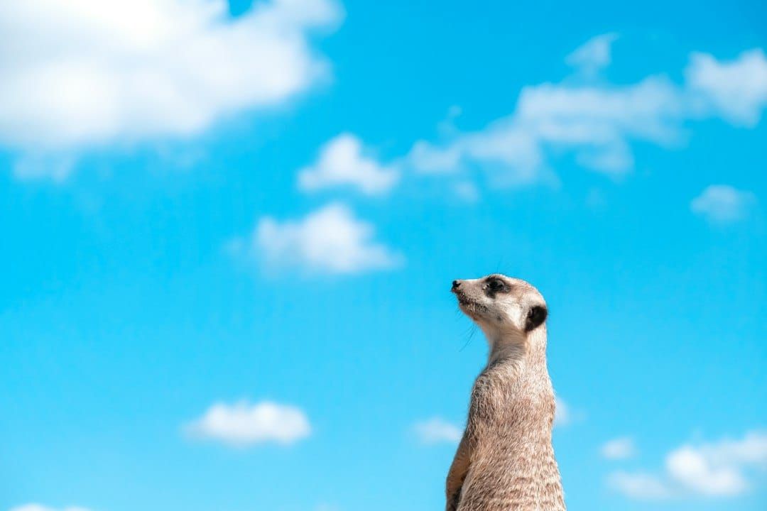 Australian ETF - Weekly Review (27 September 2026)