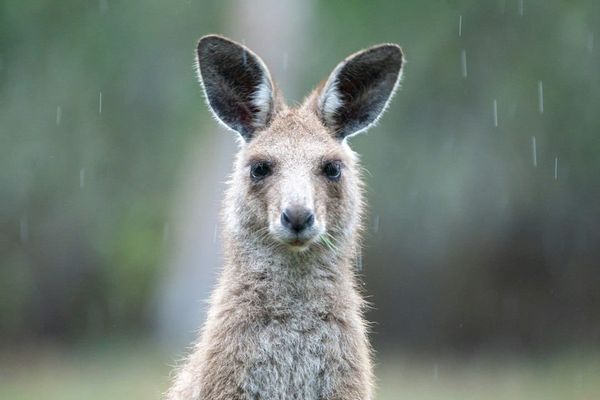 Australian ETF - Weekly Review (20 September 2026)