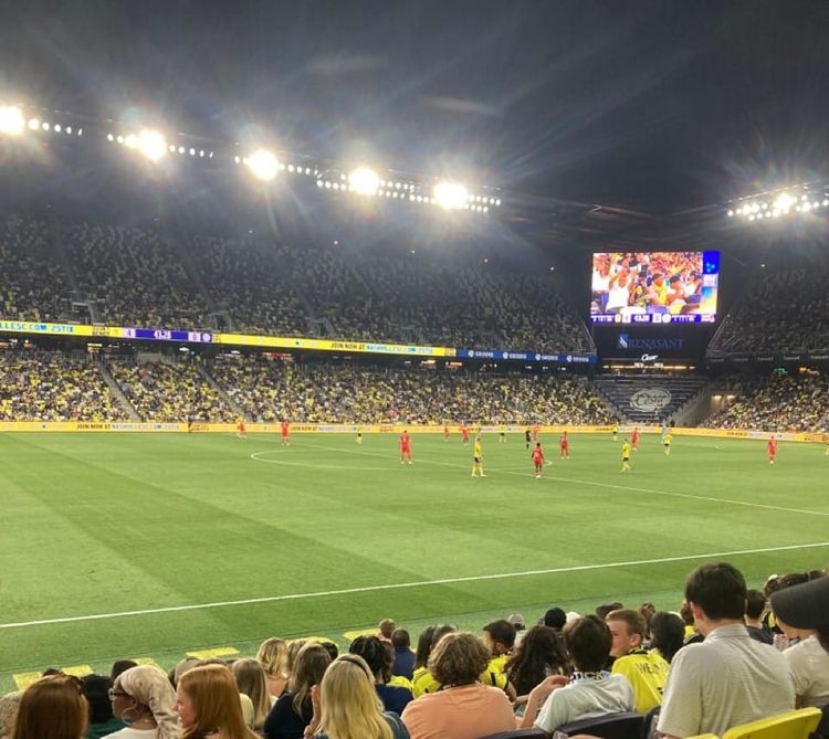 What is Back of the Net?