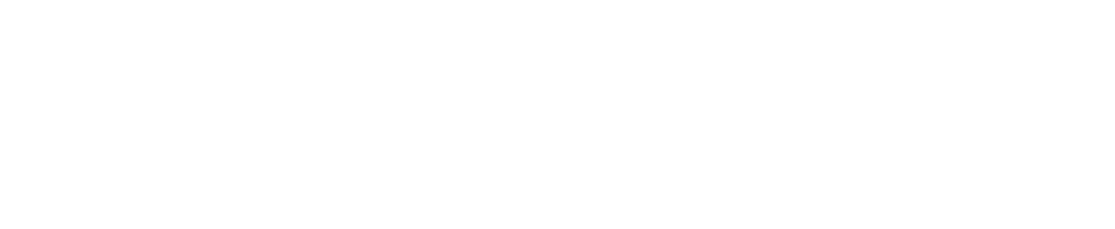 Georg Bulmer