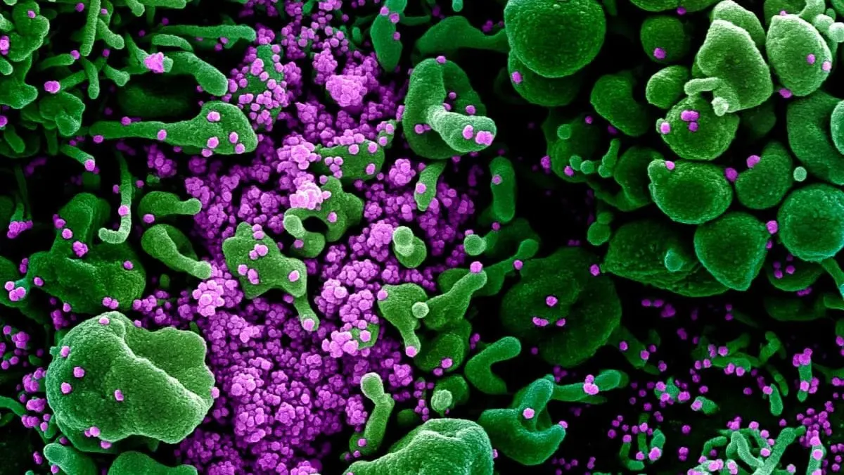 COVID-19 Vaccines Can Worsen Cancer, According to New Peer-Reviewed Analysis in Medical Journal