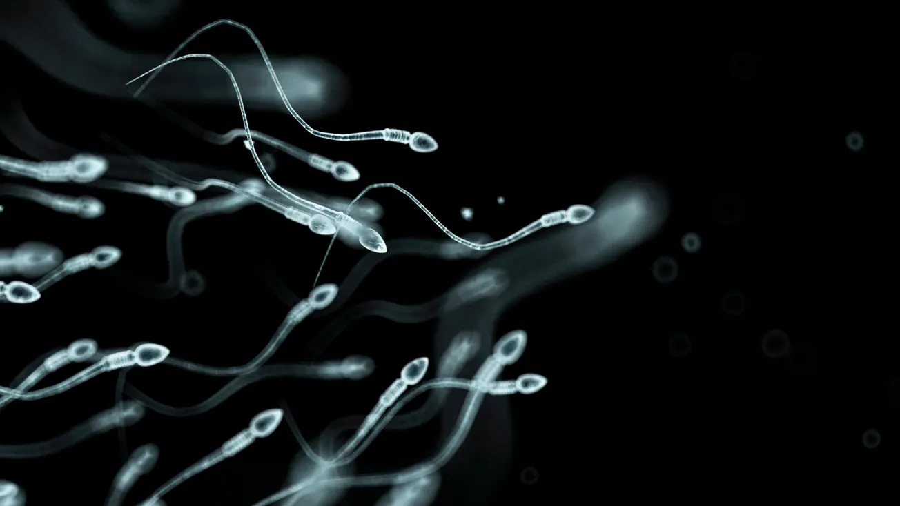 Demand for ‘Unvaxxed’ Sperm Soars: Women Looking For Donors Who Refused Experimental Covid Jab