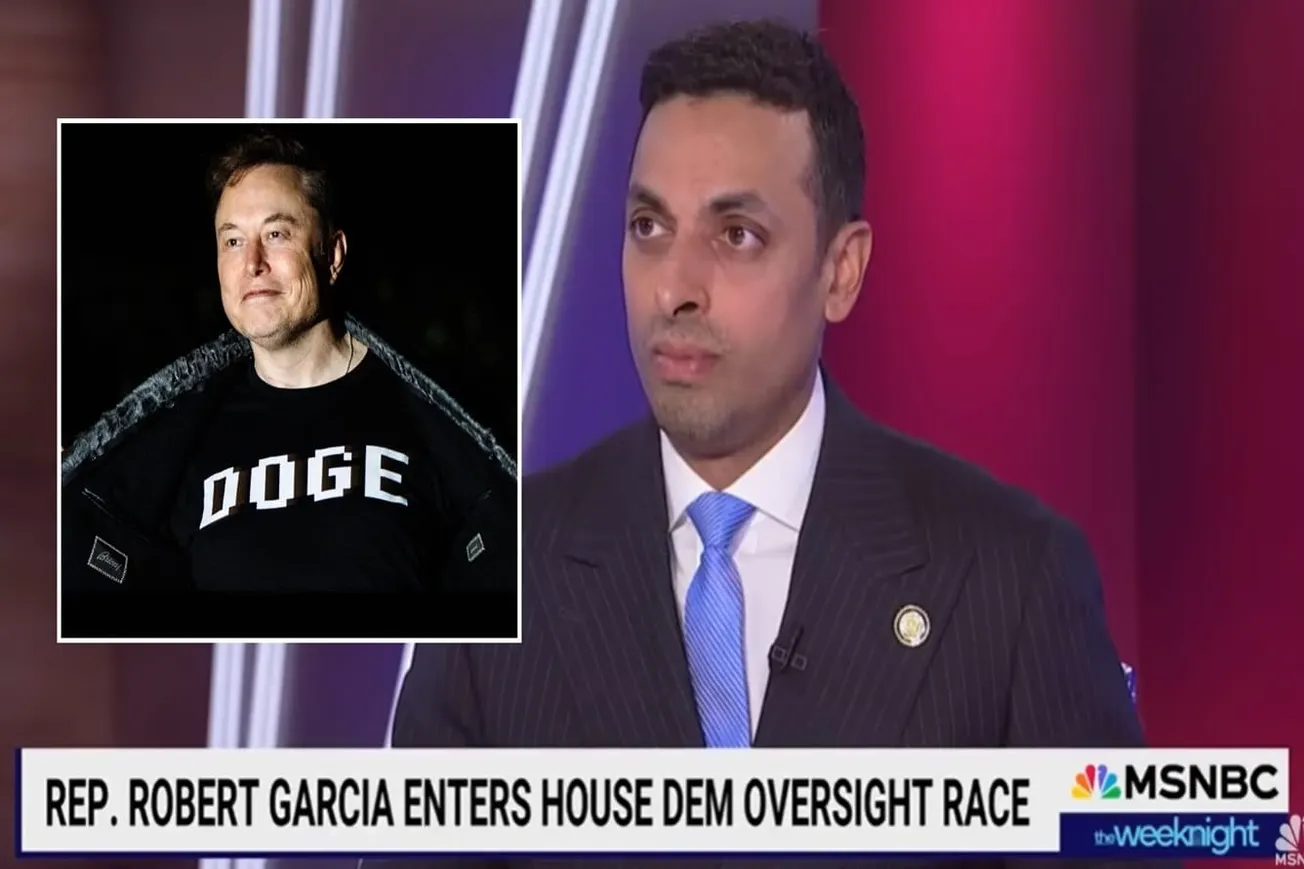 Democrat Vows Revenge: Rep. Subramanyam Promises Investigation of Musk for 'Crimes Committed' by DOGE