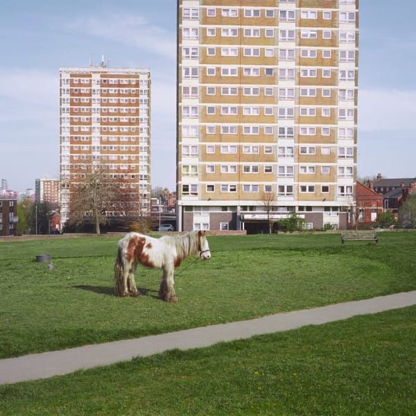 298. IT GOES ON by Westside Cowboy