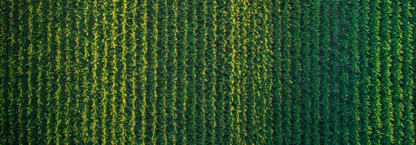 Durham Region Advises Caution on Roads During Harvest Season