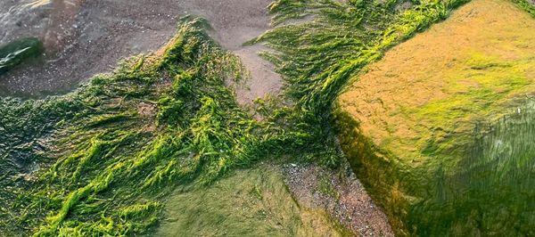 Durham Region Weekly Beach Report Highlights Unsafe Beaches