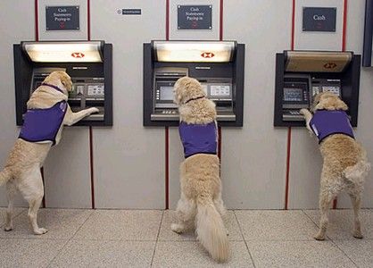 Presentación en cyber Security Bank