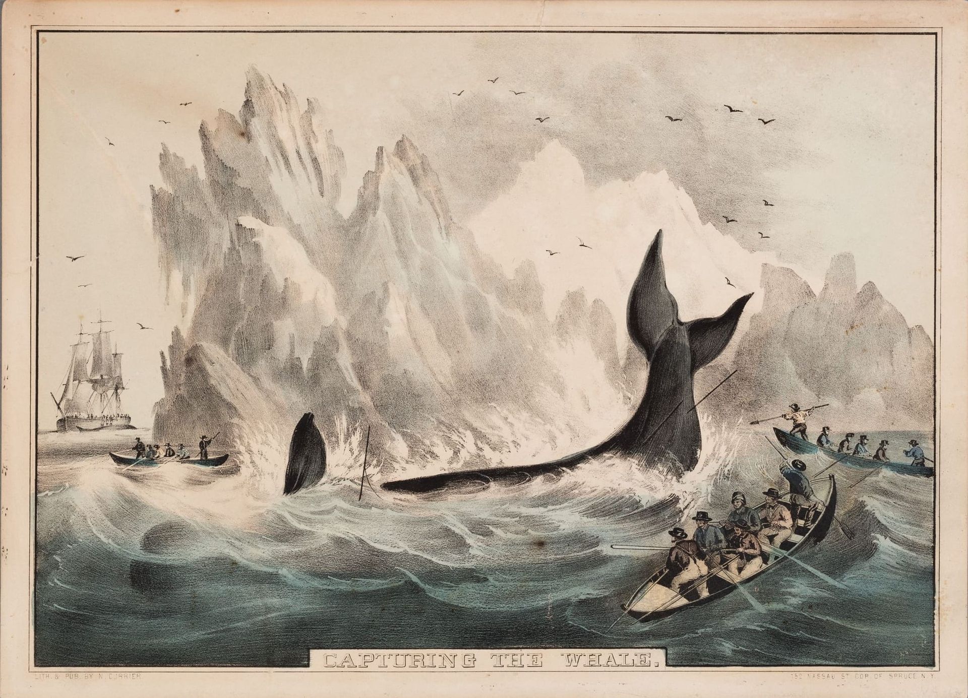 Left Out In The Cold: From Fish to Finish