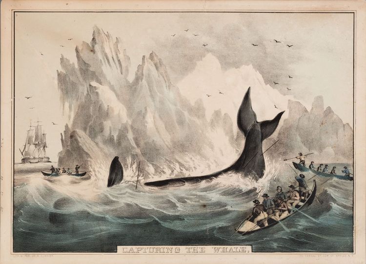 Left Out In The Cold: From Fish to Finish