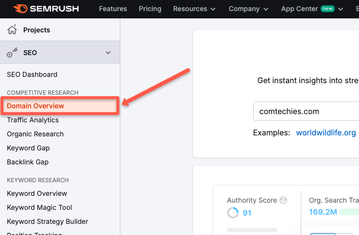 Click on semrush domain overview