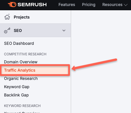In the SEO section, you can see a feature named 'Traffic analytics.'