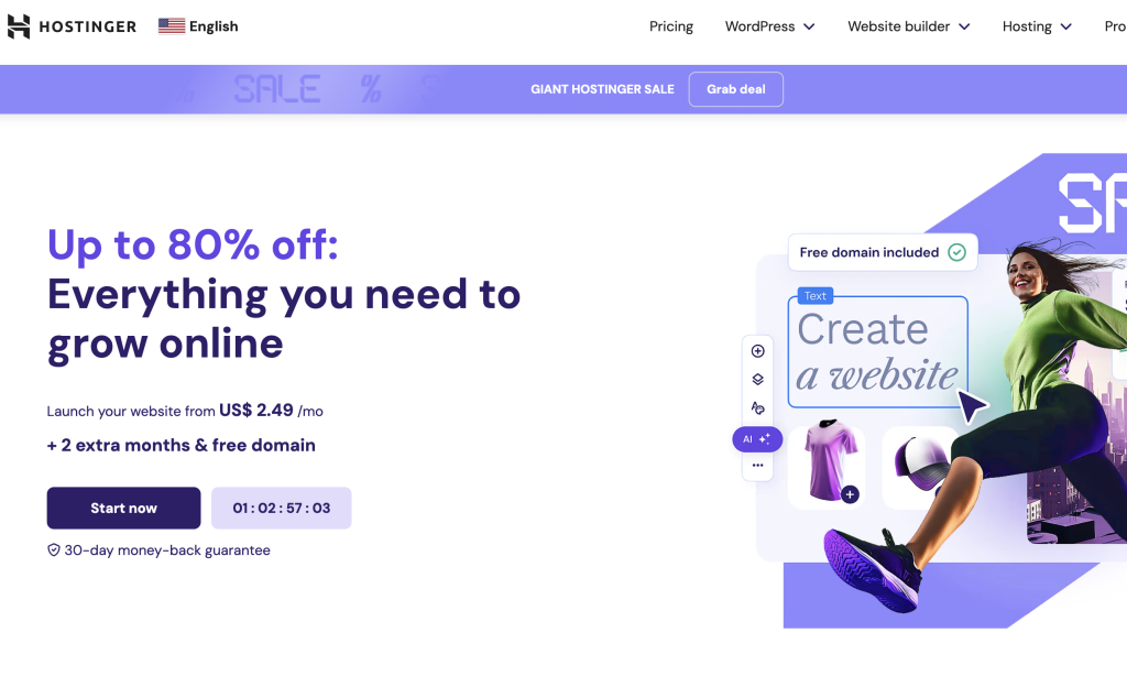 Hostinger login page