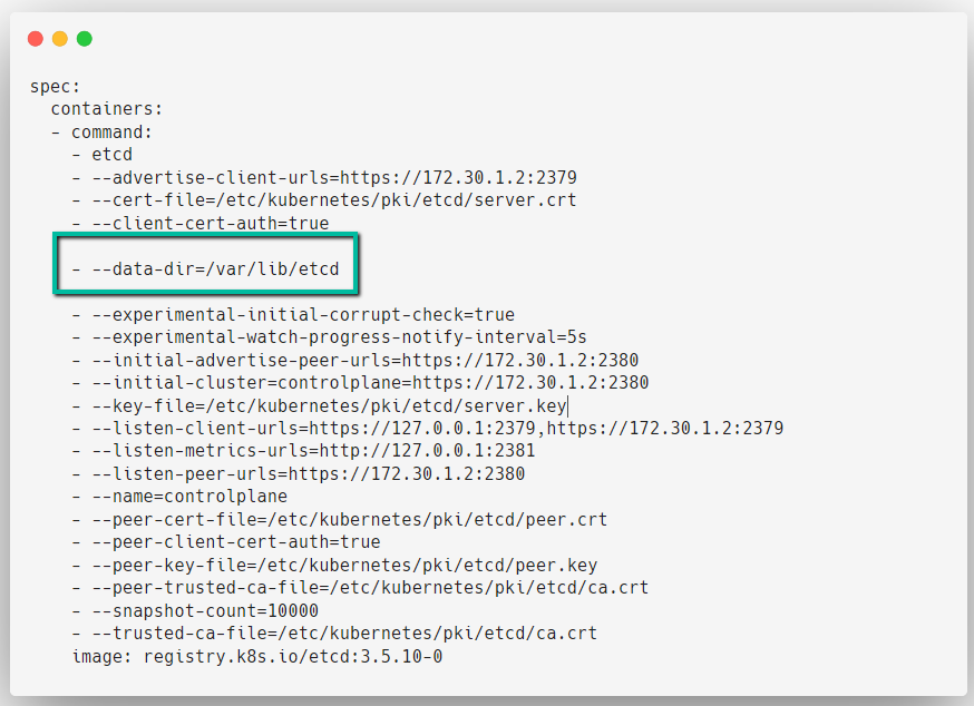 kubernetes etcd manifest