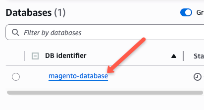 AWS RDS MySQL database created for magento
