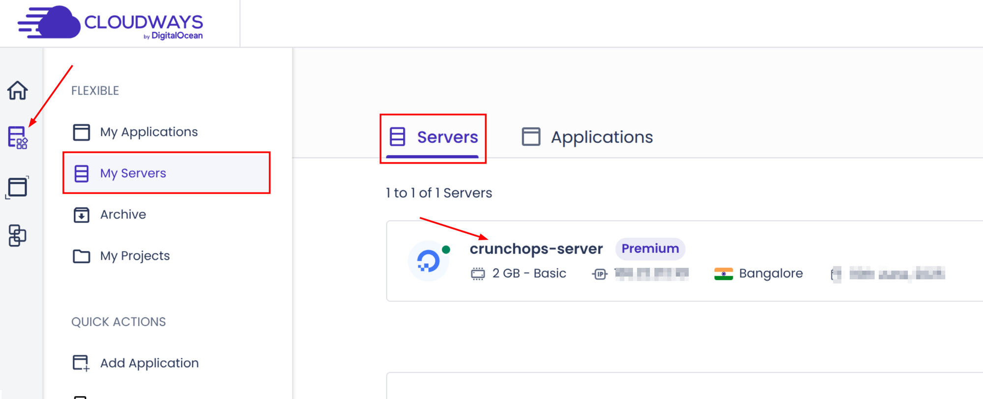 go to the cloudways dashboard and click the sever