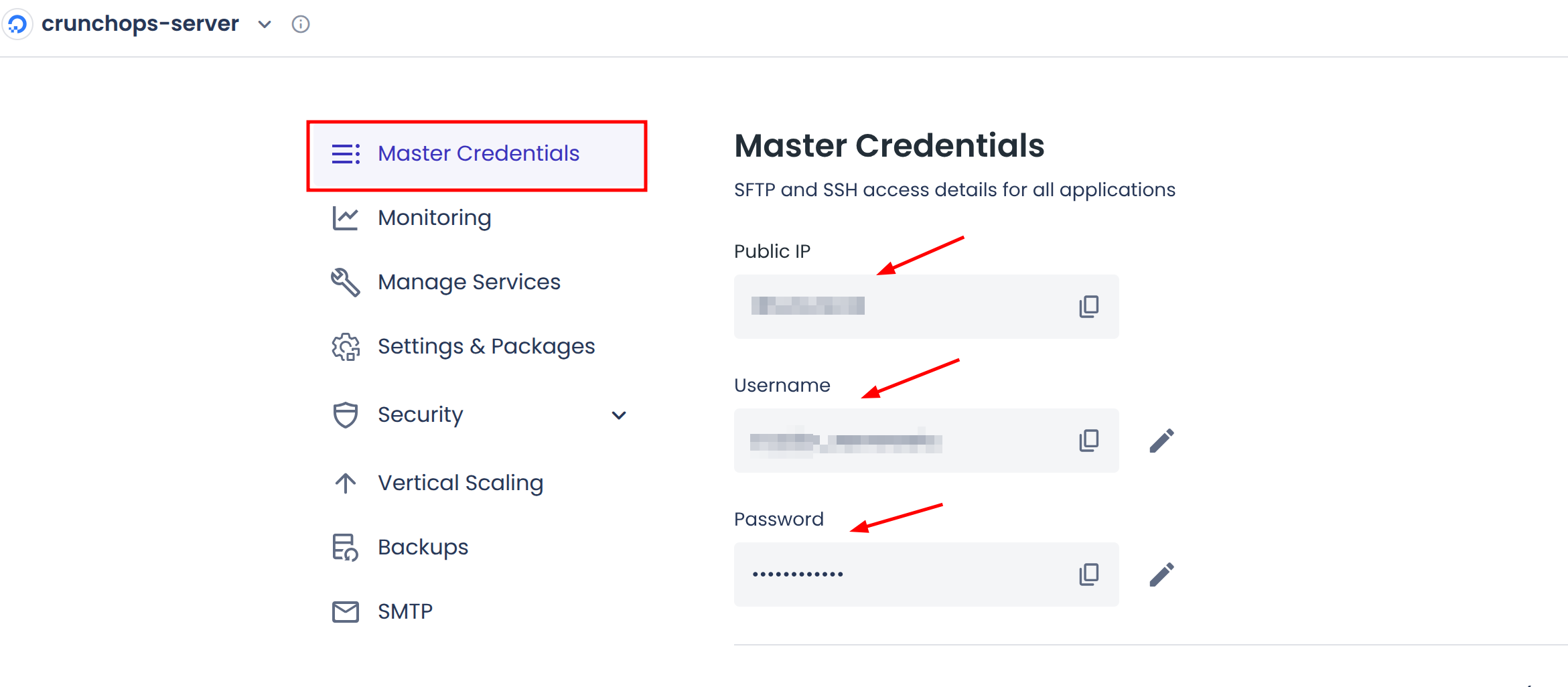 Master credentials of cloudways account