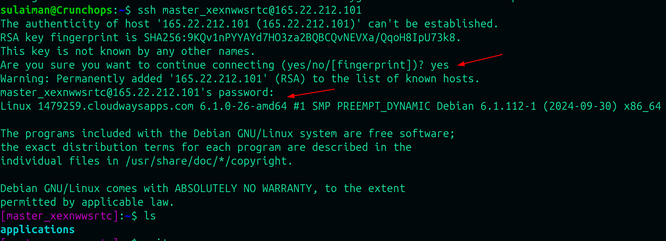 run the command: ssh <username>@<public ip> and enter the cloudways username and password