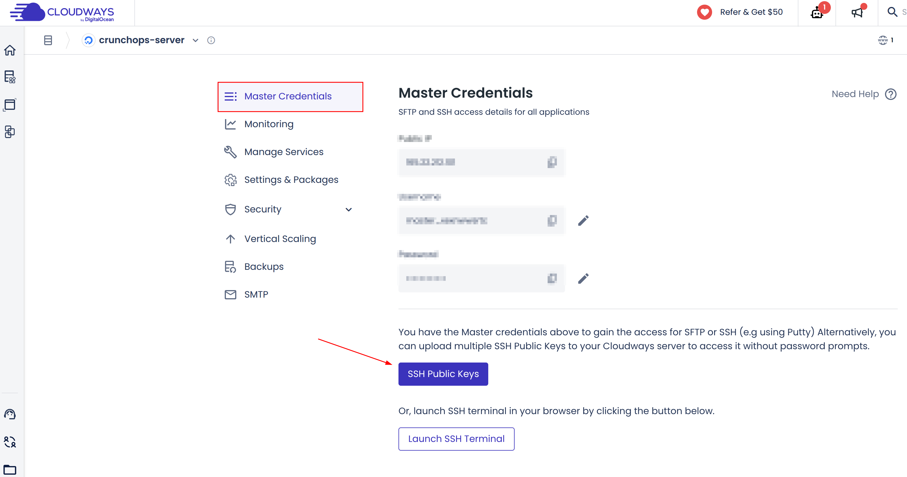 In the cloudways master credential page, you will see, SSH public keys button, click on it