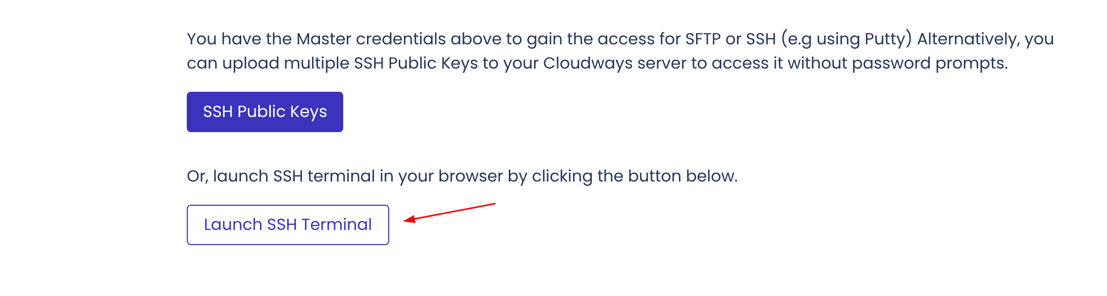 Click on the Launch SSH terminal