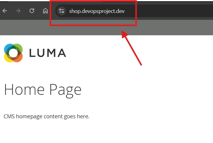 accessing magento ui in the browser using the configured dns name